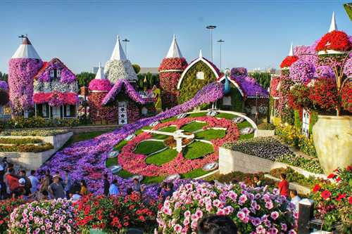 A Blooming Escape: Dubai Miracle Garden’s 13th Season is Here!